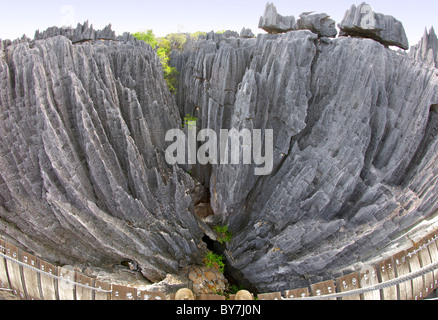 Blick von der Hängebrücke über die Grand Tsingy-Landschaft in den Tsingy de Bemaraha Nationalpark im westlichen Madagaskar. Stockfoto