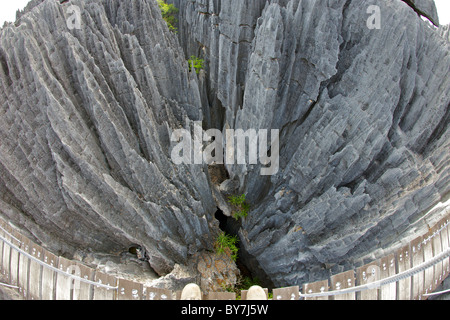 Blick von der Hängebrücke über die Grand Tsingy-Landschaft in den Tsingy de Bemaraha Nationalpark im westlichen Madagaskar. Stockfoto