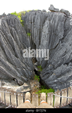 Blick von der Hängebrücke über die Grand Tsingy-Landschaft in den Tsingy de Bemaraha Nationalpark im westlichen Madagaskar. Stockfoto