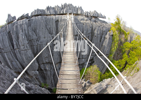 Blick auf die Hängebrücke über die Grand Tsingy-Landschaft in den Tsingy de Bemaraha Nationalpark im westlichen Madagaskar. Stockfoto