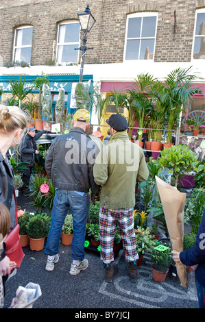 Columbia Road, Hackney, London Blumenmarkt Stockfoto