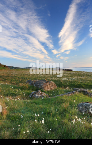 Wollgras Wollgras Angustifolium und den Blick über Staffin Bay Trotternish Halbinsel Isle Of Skye Scotland UK Stockfoto