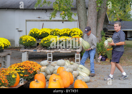 Tennessee, TN, South, Smithville, Farm Stand, Landwirtschaft, Gemüse, Blumenblumen, Kürbis, Mütter, Shopping Shopper Shopper shoppen Geschäfte Markt Märkte Markt Stockfoto