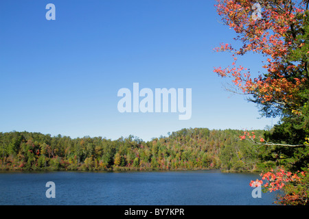 Tennessee Cherokee National Forest, Greasy Creek, Reservoir, Bundesland, Bäume, verwaltete Ressourcen, Holzernte, blauer Himmel, TN101014020 Stockfoto