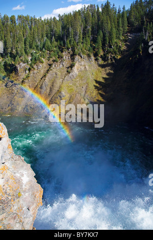 Spray-Regenbogen über Yellowstone des Grand Canyon untere fällt Stockfoto