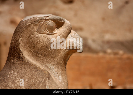 Stein-Kopf des Horus, der Falke Gott im Tempel der Hatschepsut, Luxor, Ägypten. Stockfoto