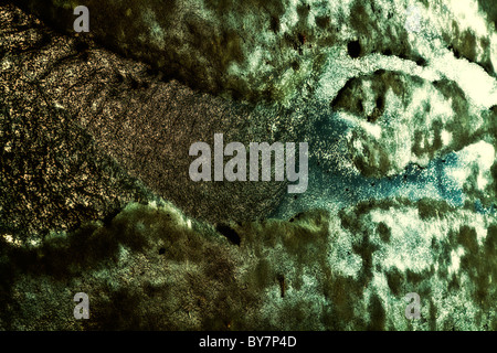 Textur des schwammigen Schimmel hautnah Stockfoto