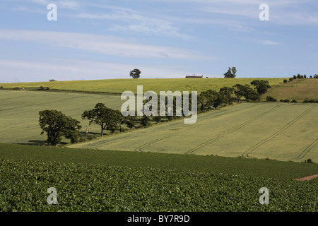 Flodden Field 1513 den Ort der Schlacht nahe dem Dorf von Branxton Northumberland England Stockfoto