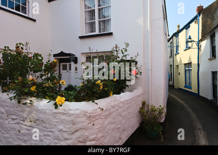 Rosen wachsen in einem winzigen Häuschen in den engen Gassen von Appledore, Devon Garten. Stockfoto