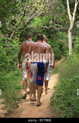 Rückansicht der 3 Männer zu Fuß durch den Dschungel auf Phi Phi Island, Thailand Stockfoto