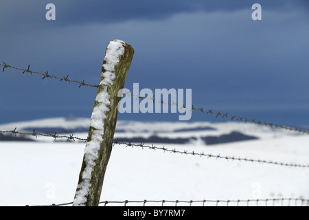 Angetrieben von Schnee klebte an einem Zaunpfahl auf der South Downs National Park in der Nähe von Eastbourne, East Sussex, England. Stockfoto