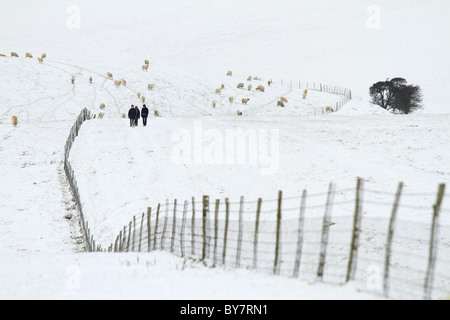 Drei Wanderer folgt der Zaun-Linie im Tiefschnee auf der South Downs National Park in der Nähe von Eastbourne, East Sussex, England. Stockfoto