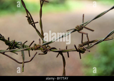 Zaun mit Stacheldraht Stockfoto