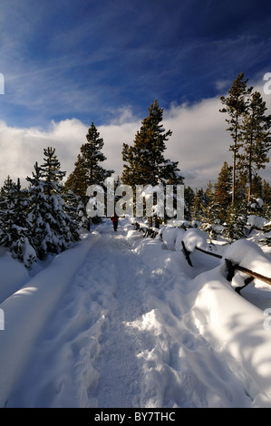 Trail unter tiefem Schnee. Yellowstone-Nationalpark, Wyoming, USA. Stockfoto