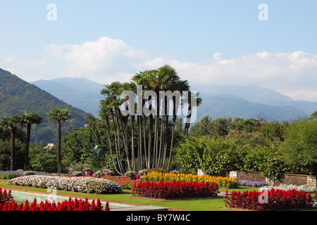 Park Villa Taranto, leuchtend roten, gelben und weißen Blüten und Palmen. Herrliche ruhige Landschaft. Stockfoto