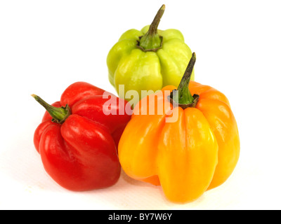 Frische reife Heiße bunten Ganze Scotch Bonnet Chilis Zutaten zum Kochen gegen einen weißen Hintergrund mit keine Menschen und einen Freistellungspfad Stockfoto