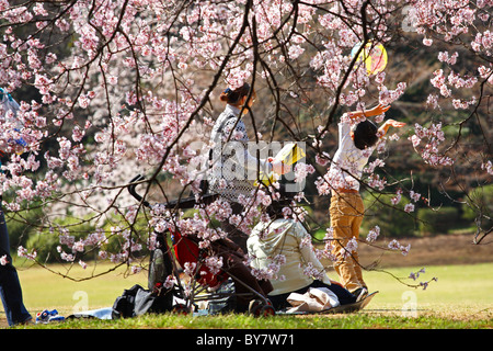 Familie spielen im Park unter Kirschblüten in Shinjuku Gyoen, Tokyo, Japan Stockfoto