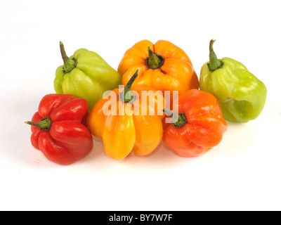 Frische reife Heiße bunten Ganze Scotch Bonnet Chilis Zutaten zum Kochen gegen einen weißen Hintergrund mit keine Menschen und einen Freistellungspfad Stockfoto