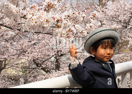 Junge japanische Schüler in Uniform mit weißen Kirschblüten auf Brücke am Kunitachi, Tokyo, Japan Stockfoto