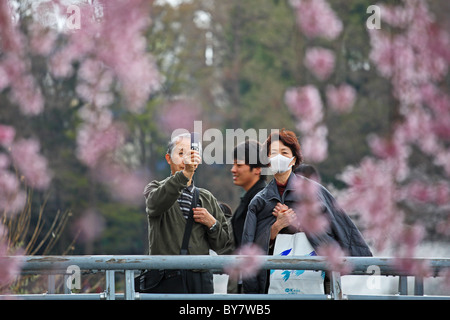 Japanisches Paar fotografieren Kirschblütenbäume Chidori Park, Tokyo, Japan Stockfoto