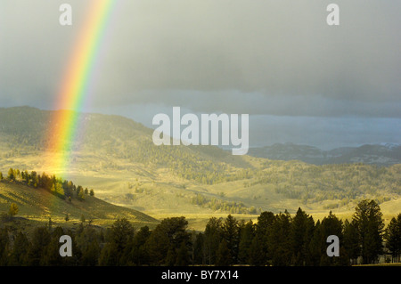 Regenbogen über Yellowstone. Stockfoto