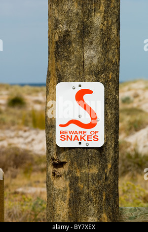 Schlange Warnschild am Telegraphenmast in der largs Bay Beach Gegend ein Vorort von Adelaide in Südaustralien. Stockfoto