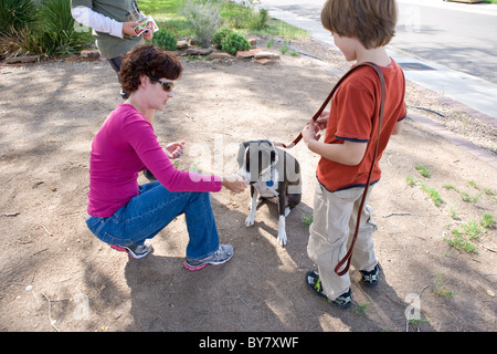 Hundetrainerin arbeitet mit acht Jahre alter Junge an wie man seinen Hund zu sitzen, bleiben und gehen, ohne zu ziehen an der Leine. Stockfoto