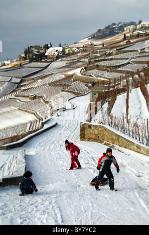 Kinder spielen im Schnee in mitten der terrassierten Weinberge des UNESCO-Welterbes Website Lavaux in der Nähe von Rivaz, Schweiz Stockfoto