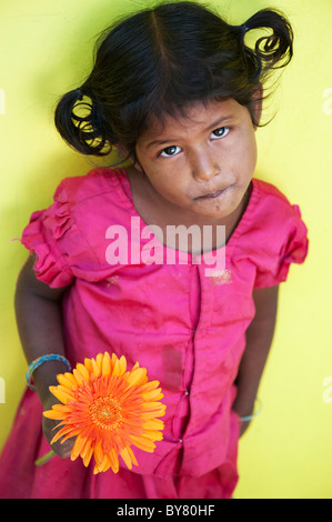 Junge indische Infant girl Holding Orange Gerbera Blume. Andhra Pradesh, Indien Stockfoto