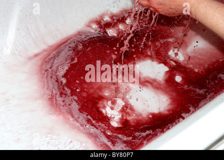 Weiblich, spülen Pflaume Farbe Haare färben Stockfoto