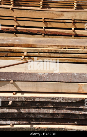 Stapel von gefrästen Timer. Dorset, UK-Oktober 2010 Stockfoto