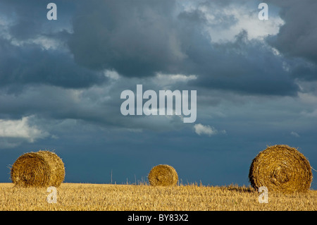 Hay bales in harvested field with stormy sky Stockfoto