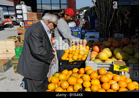 Ältere Männchen shopping für Zitrus Früchte und Gemüse Bradenton Florida Stockfoto