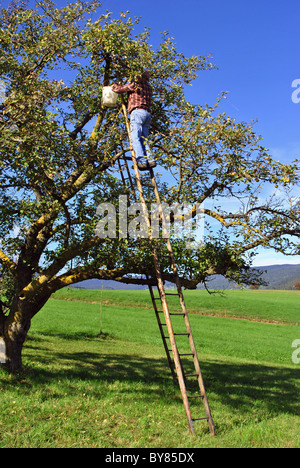 Skala Holzstäbchen an der Wand aus Steinen Stockfoto