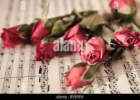 Sechs rote Rosen auf musikalische Blatt hautnah Stockfoto