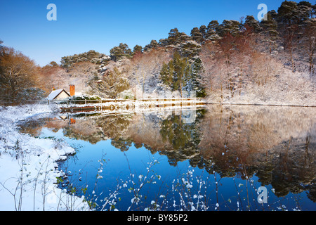 Die Deckung der Schnee reflektiert in den Mühlenteich am Freitag Street, Surrey Stockfoto