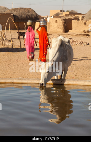 Indien, Rajasthan, Frauen tragen von Wasser in der Nähe von Dorf-tank Stockfoto