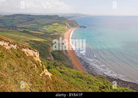 Blick nach Osten entlang der Lyme Bay Küste von Golden Cap mit der beliebten Badeort der einladendsten in der Ferne Stockfoto