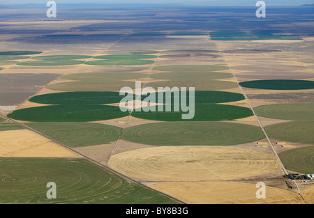 Eine Luftaufnahme der Kornkreise in Bauernhof-Feldern von Mitte Drehpunkt Sprinkler erstellt. Stockfoto