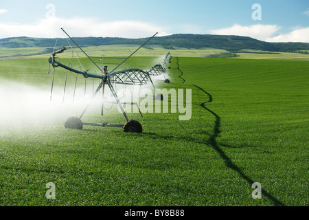 Zentrum-Pivot-Sprinkler-system Stockfoto