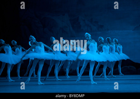 Malina Ballett Swan Lake in The Royal Opera House London UK durchführen Stockfoto