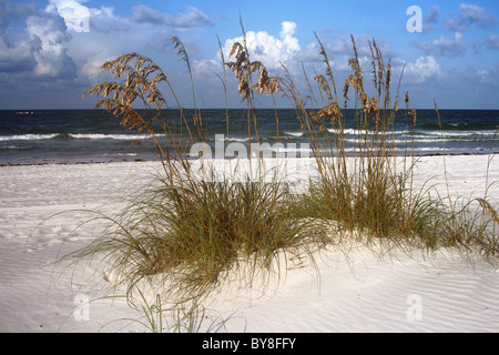 Sehafer und Surfen in Madeira Beach Florida an Floridas Golfküste. Stockfoto