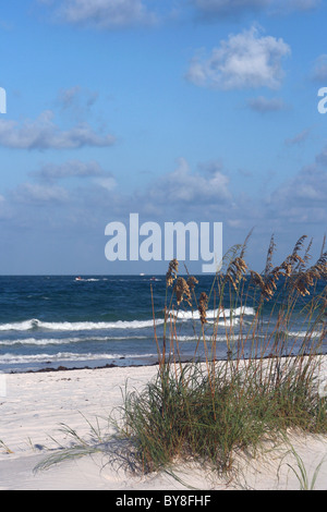 Sehafer und Surfen in Madeira Beach Florida an Floridas Golfküste. Stockfoto