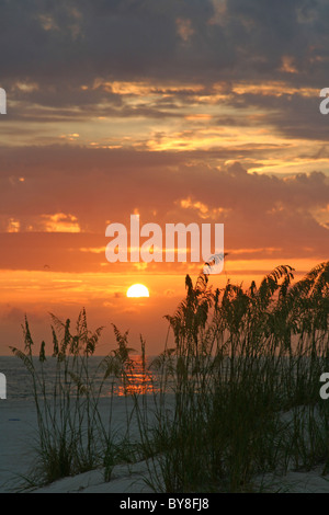 Sonnenuntergang mit Seaoats in Madeira Beach Florida. Tampa Bay Area Stockfoto