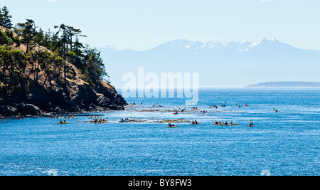 Geführte Kajaktouren auf Haro gerade im Juli in der Nähe von County Park, San Juan Island, Washington, USA. Stockfoto