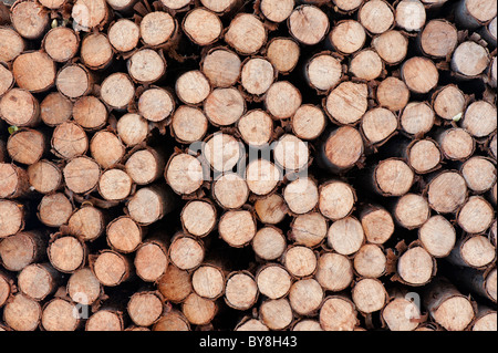 Gestapelte geschnittenen Baum Protokolle Muster. Holz Muster. Anmelden Muster. Brennholz Stockfoto