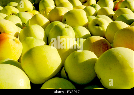 Textur gelbe Äpfel Stockfoto