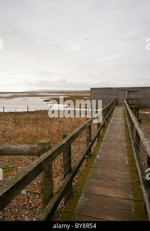 Verstecken Sie sich auf Roggen Harbour Nature Reserve East Sussex England Stockfoto