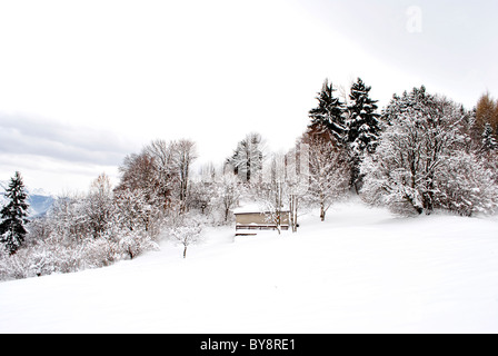 winterliche Landschaft mit Bäumen mit Schnee bedeckt Stockfoto