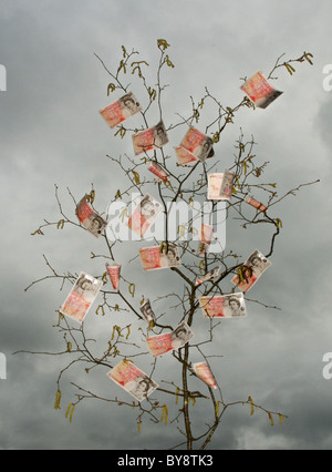 Es gibt ein altes Sprichwort im Vereinigten Königreich, das Geld nicht auf Bäumen wächst - hier scheint es, dass dies der Fall ist. Stockfoto